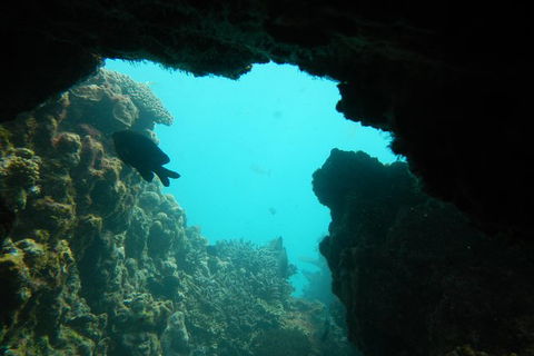 Half-Day Abrolhos Islands Shipwreck Air And Land Tour From Geraldton - Accommodation Resorts 0