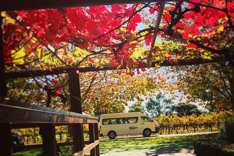 Ultimate Swan Valley Food And Wine Day Trip From Perth - Accommodation Resorts 12