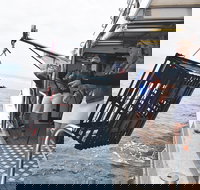 Rottnest Island Wild Seafood Package from Perth with Transfer - Accommodation Resorts