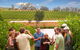 Yarra Valley Wine And Winery Tour From Melbourne - thumb 0