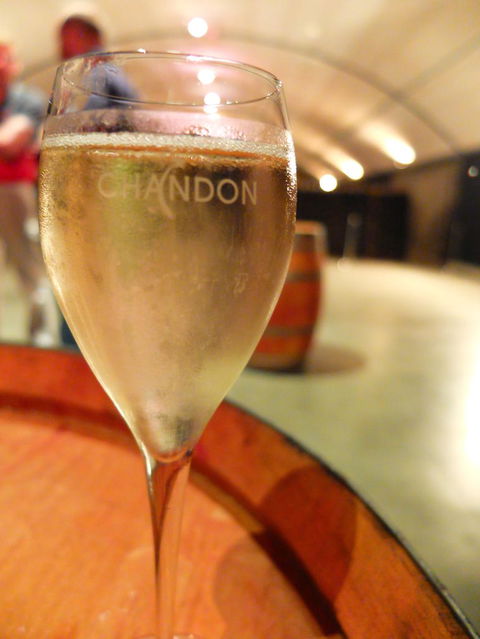 Yarra Valley Wine And Winery Tour From Melbourne - Accommodation Resorts 25