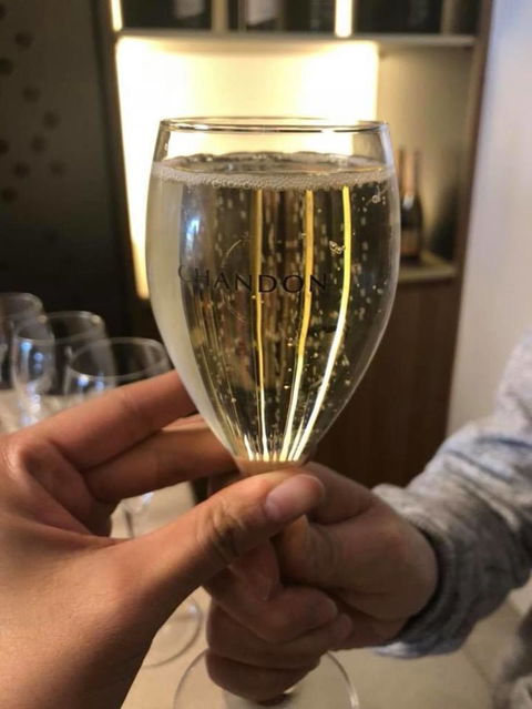 Yarra Valley Wine And Winery Tour From Melbourne - Accommodation Resorts 3