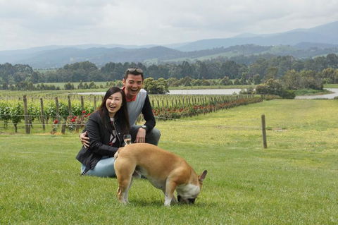 Yarra Valley Wine And Winery Tour From Melbourne - Accommodation Resorts 6