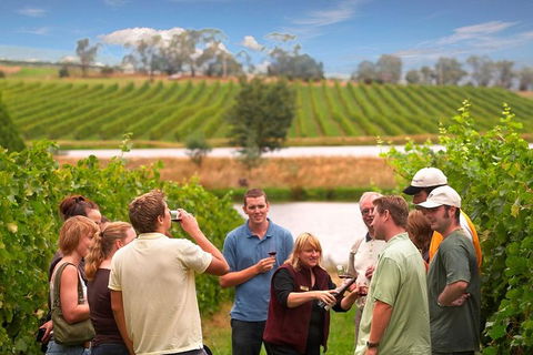 Yarra Valley Wine And Winery Tour From Melbourne - Accommodation Resorts 26