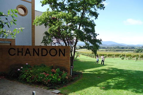 Yarra Valley Wine And Winery Tour From Melbourne - Accommodation Resorts 29