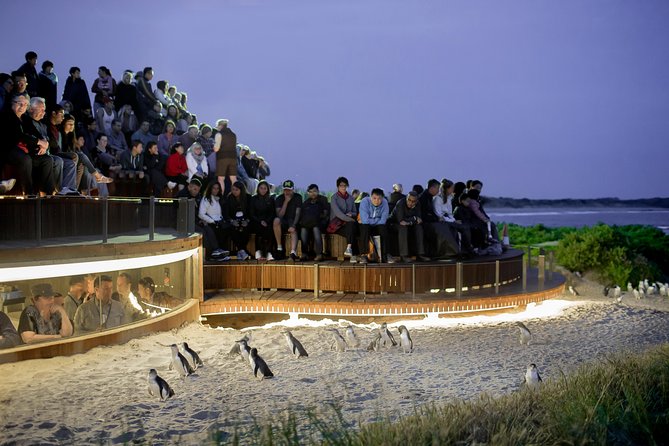 Phillip Island VIC Accommodation Resorts