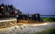 1 Day Private Phillip Island Tour (VIP Charter Up To 9 People) - thumb 0