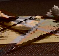 Alchemy I - The Final Run - Accommodation Resorts