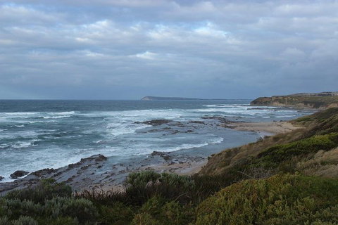 Wilsons Promontory Day Trip From Phillip Island - Accommodation Resorts 1
