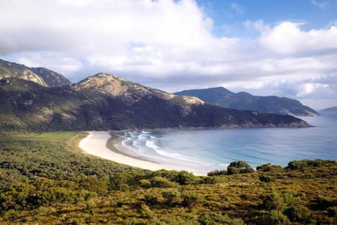 Wilsons Promontory Day Trip From Phillip Island - Accommodation Resorts 0
