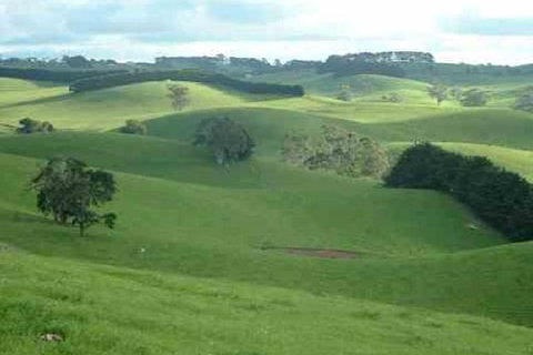 Day Tour Of Phillip Island & Surrounding Region - Accommodation Resorts 0