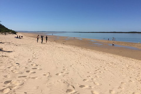 Day Tour Of Phillip Island & Surrounding Region - Accommodation Resorts 8