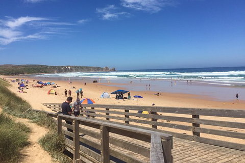 Day Tour Of Phillip Island & Surrounding Region - Accommodation Resorts 6
