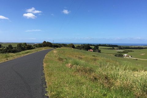 Day Tour Of Phillip Island & Surrounding Region - Accommodation Resorts 9