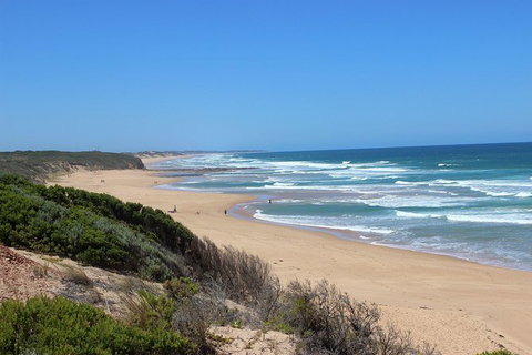 Day Tour Of Phillip Island & Surrounding Region - Accommodation Resorts 1