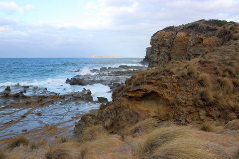 Day Tour Of Phillip Island & Surrounding Region - Accommodation Resorts 11