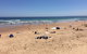Day Tour Of Phillip Island & Surrounding Region - thumb 7