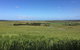 Day Tour Of Phillip Island & Surrounding Region - thumb 4