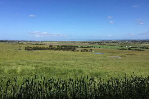 Day Tour Of Phillip Island & Surrounding Region - Accommodation Resorts 4