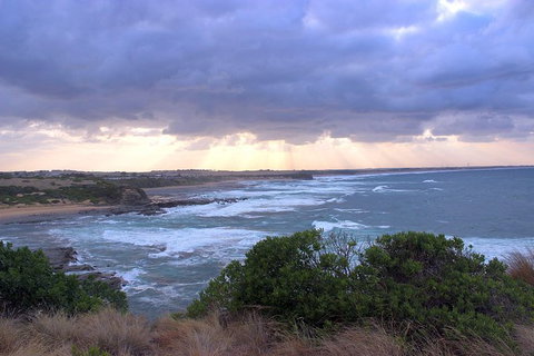 Day Tour Of Phillip Island & Surrounding Region - Accommodation Resorts 12