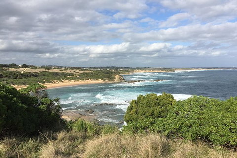 Day Tour Of Phillip Island & Surrounding Region - Accommodation Resorts 10