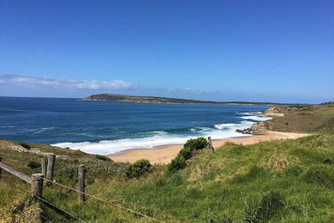 Day Tour Of Phillip Island & Surrounding Region - Accommodation Resorts 5