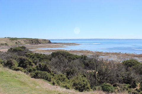 Day Tour Of Phillip Island & Surrounding Region - Accommodation Resorts 2