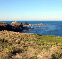 Phillip Island Walking  Bird Watching Tour - Accommodation Resorts