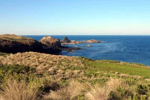 Phillip Island Walking & Bird Watching Tour - Accommodation Resorts 0
