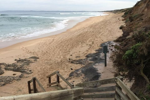Phillip Island Walking & Bird Watching Tour - Accommodation Resorts 3