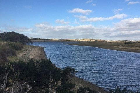 Phillip Island Walking & Bird Watching Tour - Accommodation Resorts 7