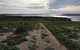 Phillip Island Walking & Bird Watching Tour - thumb 4