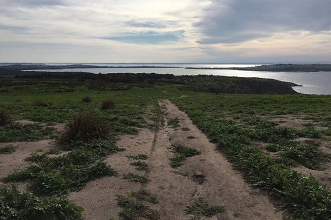 Phillip Island Walking & Bird Watching Tour - Accommodation Resorts 4