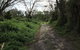 Phillip Island Walking & Bird Watching Tour - thumb 10