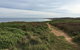 Phillip Island Walking & Bird Watching Tour - thumb 5