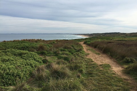 Phillip Island Walking & Bird Watching Tour - Accommodation Resorts 5