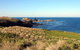 Phillip Island Walking & Bird Watching Tour - thumb 9