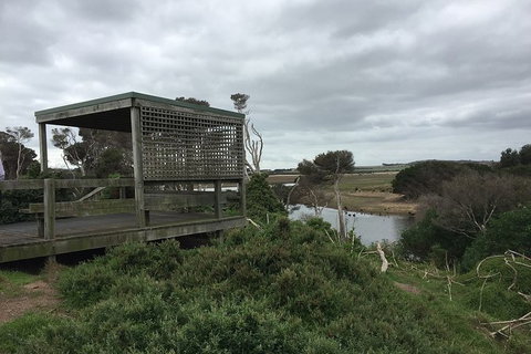 Phillip Island Walking & Bird Watching Tour - Accommodation Resorts 2