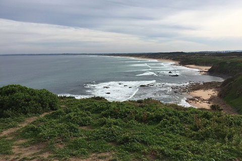 Phillip Island Walking & Bird Watching Tour - Accommodation Resorts 1