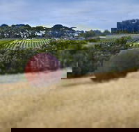 Estate to Plate Montalto Vineyard Gourmet Lunch and Wine-Tasting Tour - Accommodation Resorts