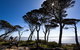 2 Day Exclusively Private Tour Of Phillip Island & The Penguin Parade - thumb 9