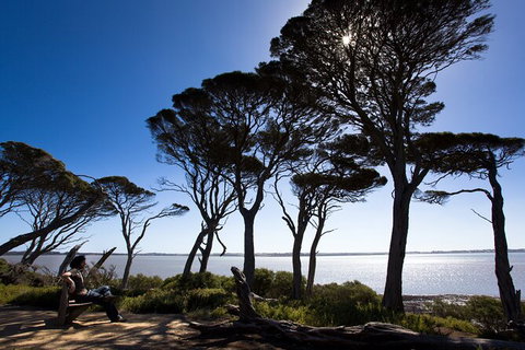 2 Day Exclusively Private Tour Of Phillip Island & The Penguin Parade - Accommodation Resorts 9