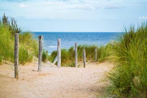 2 Day Exclusively Private Tour Of Phillip Island & The Penguin Parade - Accommodation Resorts 3