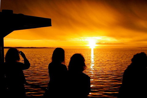 Phillip Island Twilight Cruise - Accommodation Resorts 1