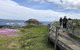 Day Tour Of Phillip Island Nature Parks & Penguins - thumb 10