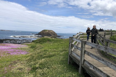 Day Tour Of Phillip Island Nature Parks & Penguins - Accommodation Resorts 10