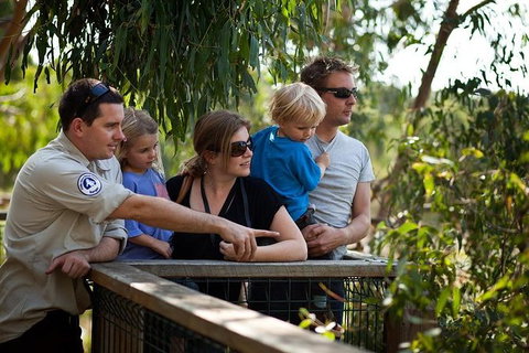 Phillip Island 3 Park Pass: Penguin Parade, Koala Conservation Centre And Penguin Parade, Koala ConservationHeritage Farm - Accommodation Resorts 0