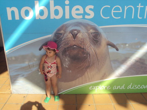 Phillip Island 3 Park Pass: Penguin Parade, Koala Conservation Centre And Penguin Parade, Koala ConservationHeritage Farm - Accommodation Resorts 3