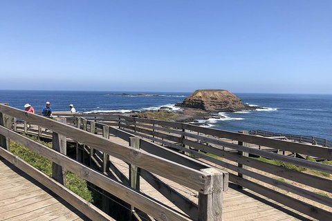 Day Tour Of Phillip Island, The Surrounding Region And Wine Tasting - Accommodation Resorts 14