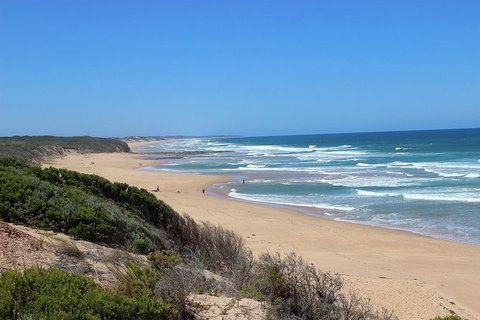 Day Tour Of Phillip Island, The Surrounding Region And Wine Tasting - Accommodation Resorts 5